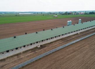 thermano-agro-chlewnia-budynki-rolnicze-2